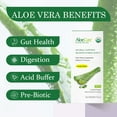 thumbnail image 4 of AloeCure USDA Organic Aloe Vera Juice Lemon Flavor - Made Within 12 Hours of Harvest - Natural Digestive Supplement for Balanced Stomach Acidity - Support Digestive and Immune Health, 6 Btls x 16.7oz, 4 of 10