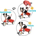 thumbnail image 3 of Triciclo Carriola Desmontable Toldo Barra Mickey Cajuela, 3 of 3