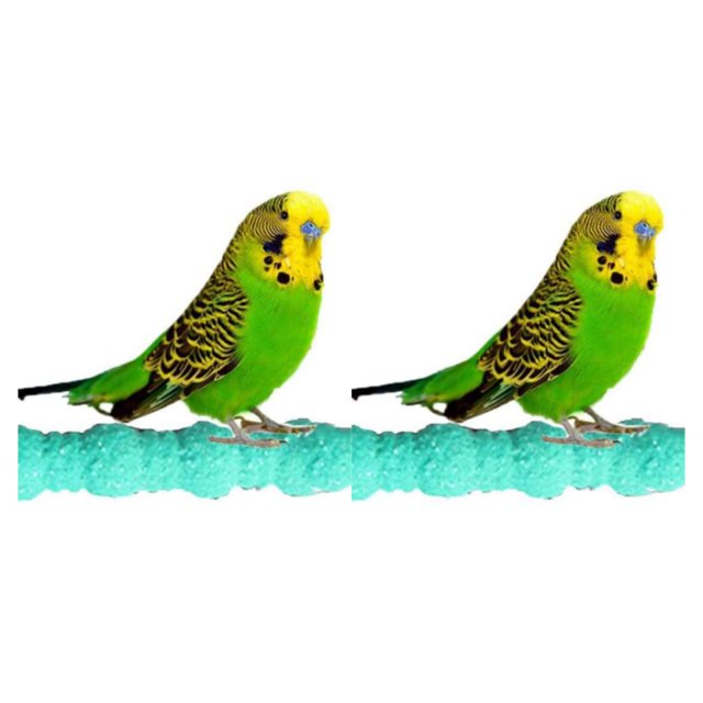 VONKY Eco-friendly Bird Toy With Colorful Alloy Hook For Easy Grasp Stable Fixation Parrot Scratching as shown 2Set