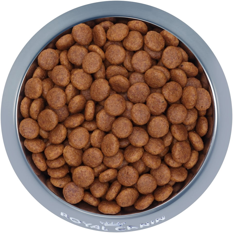 royal canin medium digestive