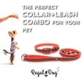thumbnail image 4 of Heavy Duty Reflective Dog Collar \u Adjustable and with Durable Metal Buckle and Rings Odor chew Dog Collar for Small Medium and Large Dogs (Large Pink), 4 of 8