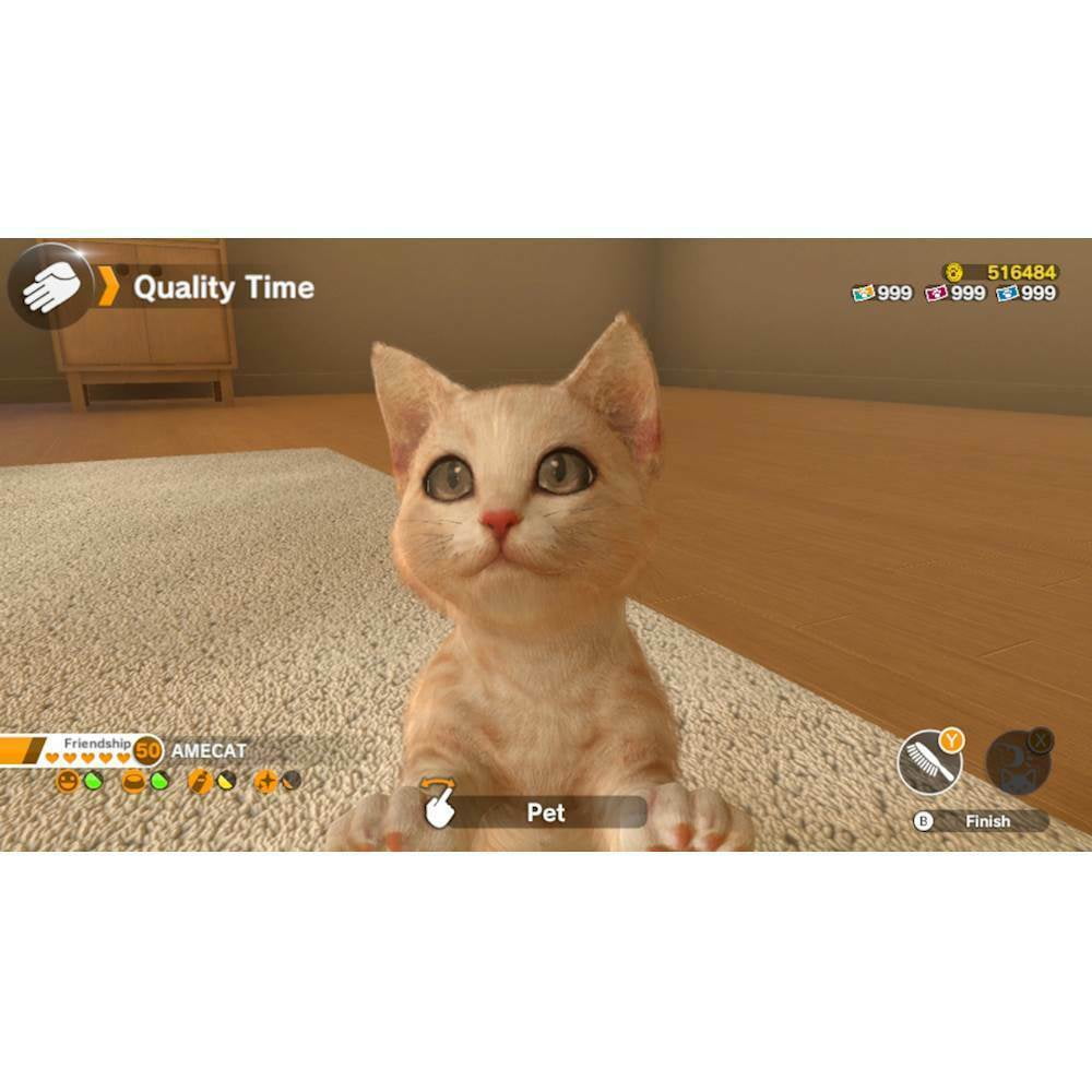 Little friends dogs and cheap cats big w