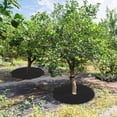 thumbnail image 5 of Uxcell 4 Pack Non Woven Tree Cover Rings,28.3 Inch Weed Fabric Cover,Apply To Tree Mulch Ring(Round Black), 5 of 7