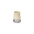 thumbnail image 1 of Adaptador CPVC de acero inoxidable Homewerks 1/2" FIP, 1 of 2