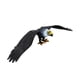thumbnail image 5 of Modelo de águila simulada para niños, juguetes para decoración del hogar, escena de utilería, estatuilla de Animal, estatua de águila, Animal, pájaro, L negro, 5 of 10