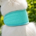 thumbnail image 3 of Pet Cooling Neck Wrap, Adjustable Summer Heatstroke Prevention Collar, Reusable Ice Bandana for Dog Cat Outdoor Walk Travel Comfort, 3 of 5