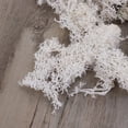 thumbnail image 5 of landege Preserved Fresh Moss DIY Floral Material Accessory Beautiful Decoration for Wedding Party Garden 50g (White), 5 of 10