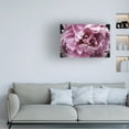 thumbnail image 3 of Irena Orlov 'Pink Peony Passion III' Canvas Art, 3 of 3