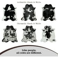 thumbnail image 4 of Genuine Cowhide Rug - Natural Black and White Rugs for Living Room & Bedroom Aesthetic - Real Cow Hide Rug for Rustic Home Decor - Authentic Black & White Collection 6x6-7ft, 4 of 9
