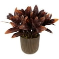 thumbnail image 3 of Northlight Two-Tone Artificial Foliage Plant in a Textured Lined Pot - 8", 3 of 6