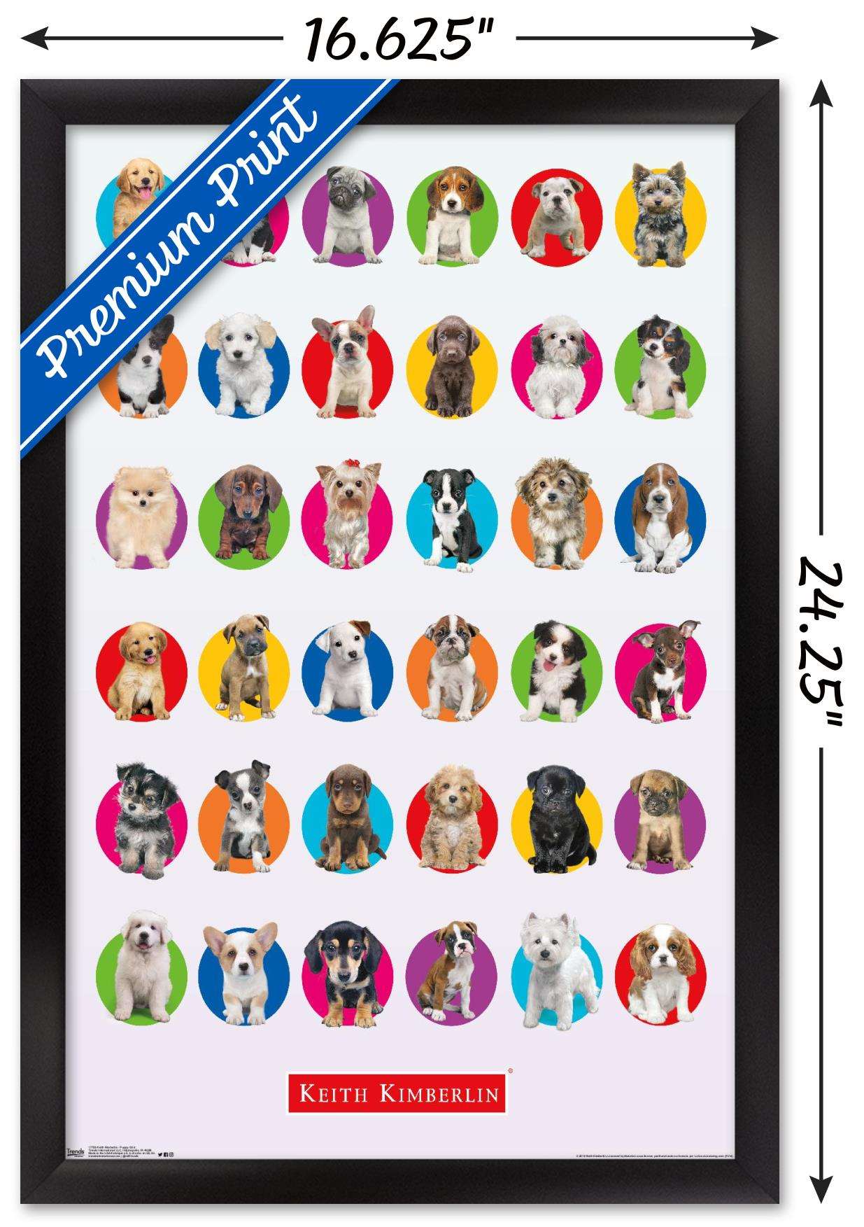 Keith Kimberlin - Puppy Grid Wall Poster, 14.725" x 22.375", Framed