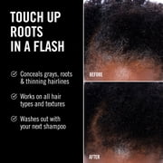 Everpro Gray Away Instant Root Touch-up Spray, Black 2.5oz
