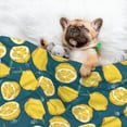 thumbnail image 3 of Disketp Lemon Dog Blanket/Bed Cover for Dogs and Cats,Puppy Essentials-Large, 3 of 8