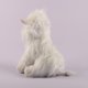 thumbnail image 5 of 25 cm Highland Cow soft plush Scottish Scottish cow gift White, 5 of 5