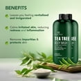 Botanic Hearth Natural Tea Tree Body Wash Set, Antibacterial, Antifungal 16 fl oz, 2 Pack