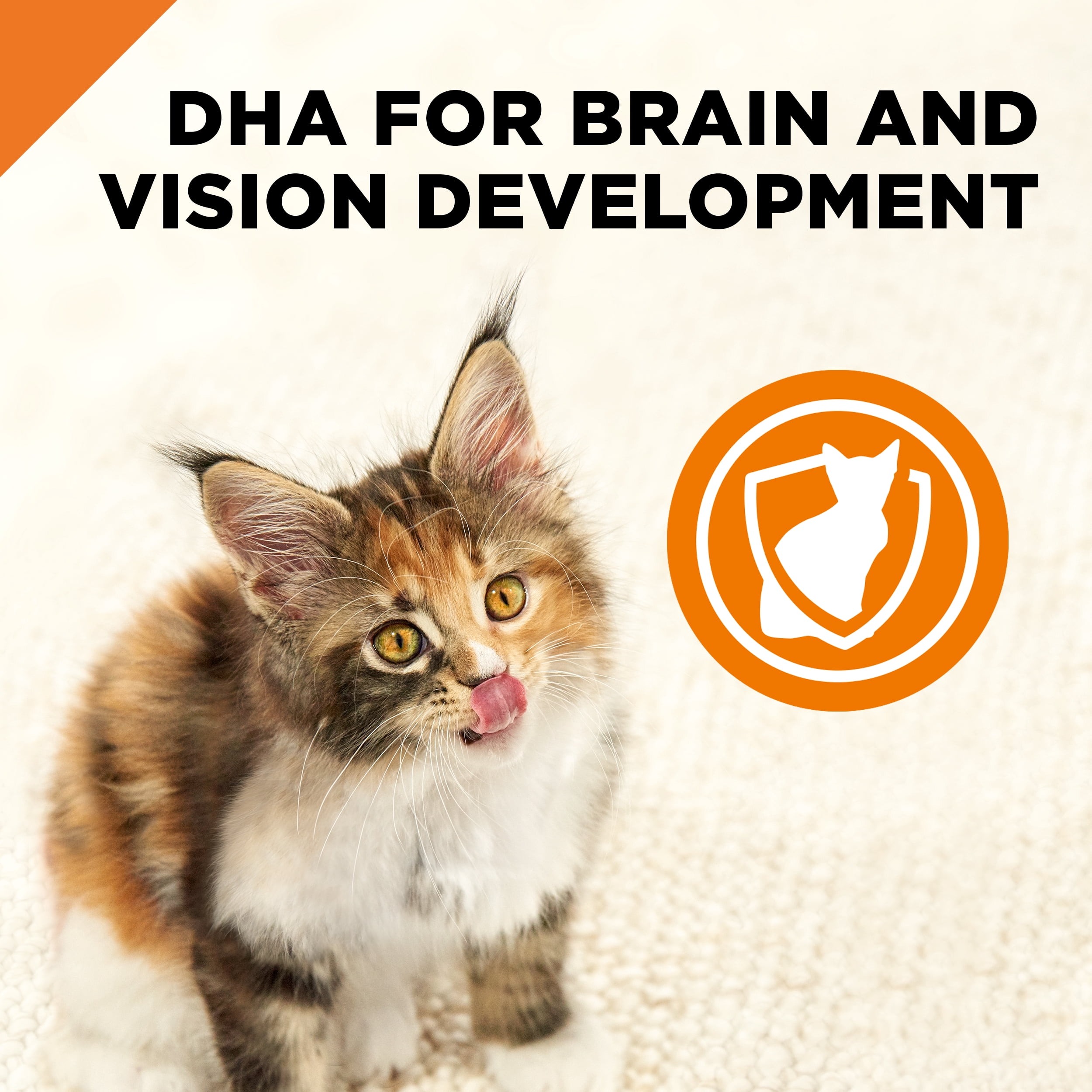 kitten food with probiotics