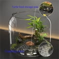 thumbnail image 4 of Turtle feeding tank household living room special box desktop, 4 of 6