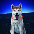 thumbnail image 4 of LED Safety Necklace, Reusable Visibility Necklace for Pets，Orange，Replaceable Batteries, 4 of 4