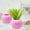 Pink, variant on Plastic Pumpkin Shaped Flower Pot Decorative Vase Halloween Thanksgiving Fall Home Decor Orange 1 Pack