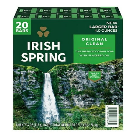 Dog ate irish spring soap online
