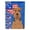 Airedale Terrier - Grizzle and Tan, variant on Toy White Poodle USA American Flag Garden Size