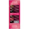thumbnail image 2 of Garnier Color Sensation Hair Color Cream, 4.60 Cherry on Top Dark Intense Auburn, 2 of 10