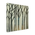 thumbnail image 2 of Trademark Fine Art 'Birch Line I' Canvas Art by Jennifer Goldberger, 2 of 4