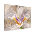 thumbnail image 2 of Leda Robertson 'Playful Petals I' Canvas Art, 2 of 4