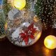 thumbnail image 3 of 15 Pcs Round Clear Christmas Ornaments Refillable DIY Balls Made Of Plastic For Holiday Tree Decoration, 3 of 5