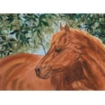 thumbnail image 2 of Baliko, Linda 18x14 Black Ornate Wood Framed with Double Matting Museum Art Print Titled - Champions II, 2 of 4