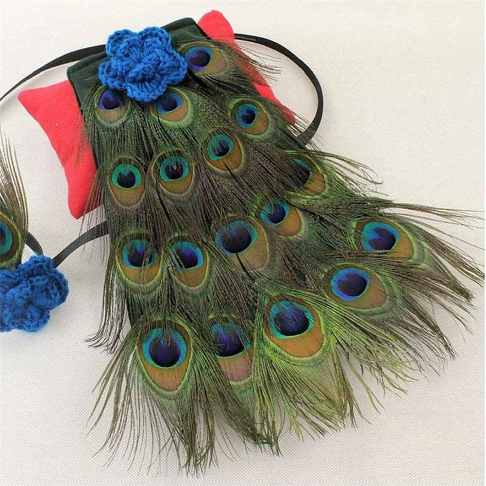 newborn peacock costume