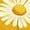 02-Yellow, variant on SwiftWear Womens Cute Bee Graphic Tee Shirts 3/4 Sleeve Soft Crewneck Casual Summer T-Shirt Pullover Tops