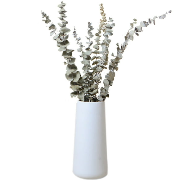 Coofit 1 Bunch Faux Flower DIY Eucalyptus Leaf Dried Plant for Flower Arrangement