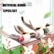 thumbnail image 2 of Liquidación Zmeidao: 12 piezas de plumas artificiales de pájaros de espuma de colores, decoración para bodas y eventos., 2 of 8