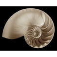 thumbnail image 2 of Britt, Charles 24x20 White Modern Wood Framed Museum Art Print Titled - Ocean Keepsake II, 2 of 4
