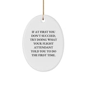 Funny Flight Attendant Gifts from Friends - Oval Ornament for Christmas Unique Gifts - Gifts for Men or Women Coworkers - Oval Ornament