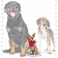 thumbnail image 5 of Mighty Dog Rabbit Toy - Unrivaled Durability for Long-Lasting Fun, 5 of 6