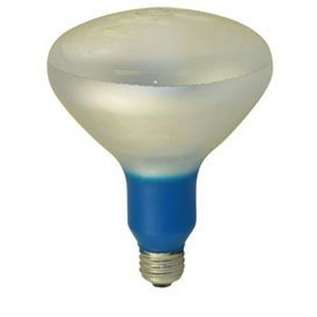 

Replacement for COLORTRAN 178-028 replacement light bulb lamp