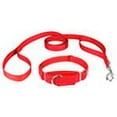 thumbnail image 7 of Country Brook Petz - Reflective Nylon Martingale Dog Collar & Double Handle Leash, 7 of 7