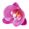 thumbnail image 2 of BKER Spring Summer Flower Hair Clip Hair Set Simulation Accessories For Girls Flower Hair Clip ！, 2 of 5