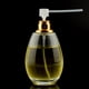 thumbnail image 3 of Soidarity Bomba dispensadora de Perfume, 10 Uds., bombas cosméticas transparentes recargables, cabezal de buen sellado, pulverizador a prueba de Type2 NO2, 3 of 6