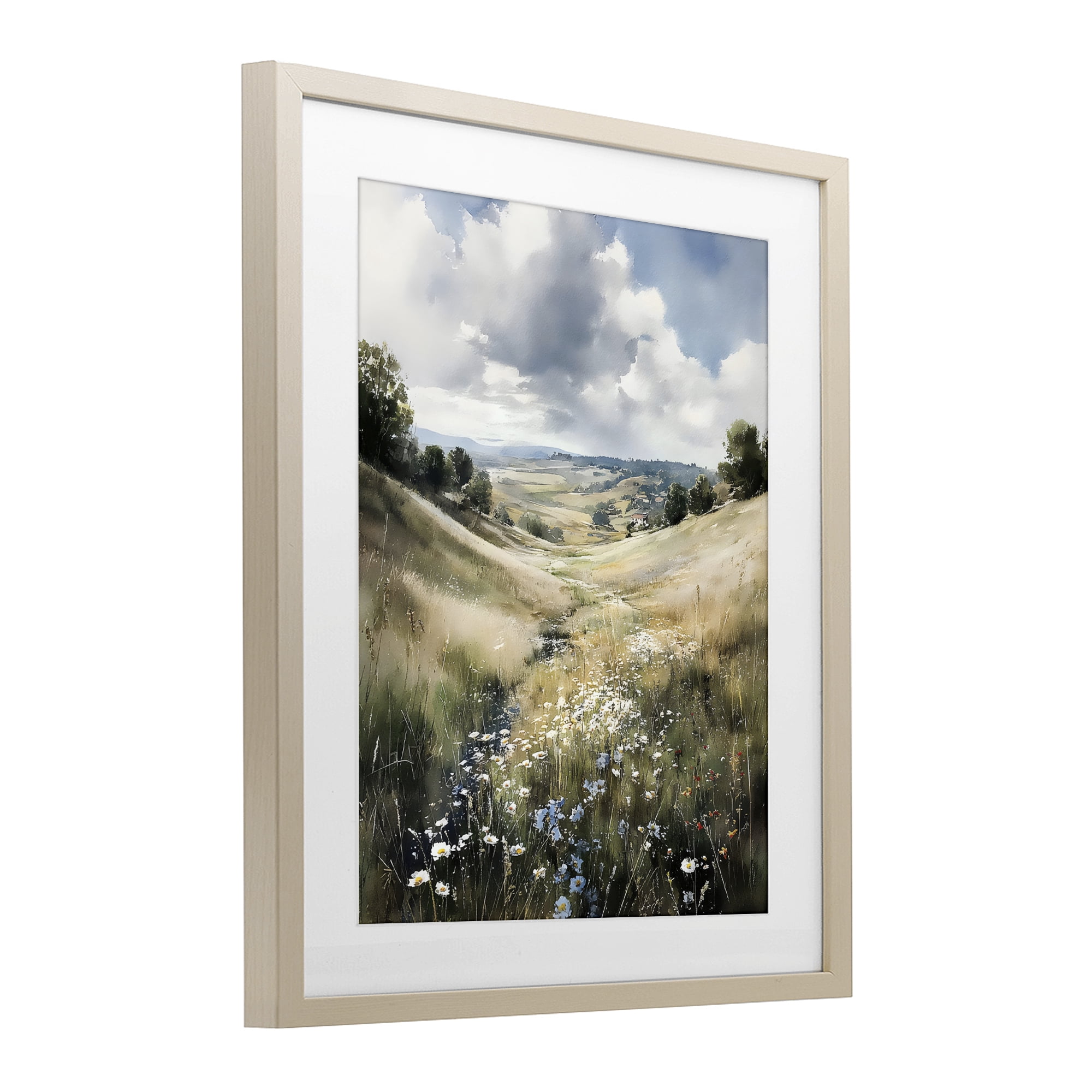 Stupell Industries Floral Valley of Wild Daisies Birch Framed Print Under Glass, design by Franklyn Gregory