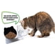 thumbnail image 3 of Cuenco para gatos con soporte elevado, cuenco doble inclinado para gatos, comedero para mascotas con cuenco doble Rojo Verde, 3 of 4