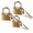 Gold3, variant on HONGLIN Antique Brass D-Shaped Keyed Padlocks - Decorative & Secure Locks with Hardened Alloy Core for Luggage, Gym Lockers, Gift Boxes, Storage & Travel. Compact for Backpacks/Security Cases