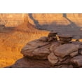 thumbnail image 2 of Illg, Cathy and Gordon 32x23 Black Ornate Wood Framed with Double Matting Museum Art Print Titled - Utah, Dead Horse Point SP Sunrise on canyon, 2 of 4