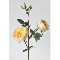 29" Faux Cabbage Rose Stem Yellow / Apricot