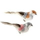 thumbnail image 4 of Decoración de pájaro artificial hecha de espuma y plumas artificiales, decorativa. Garra de pájaros, 4 of 9