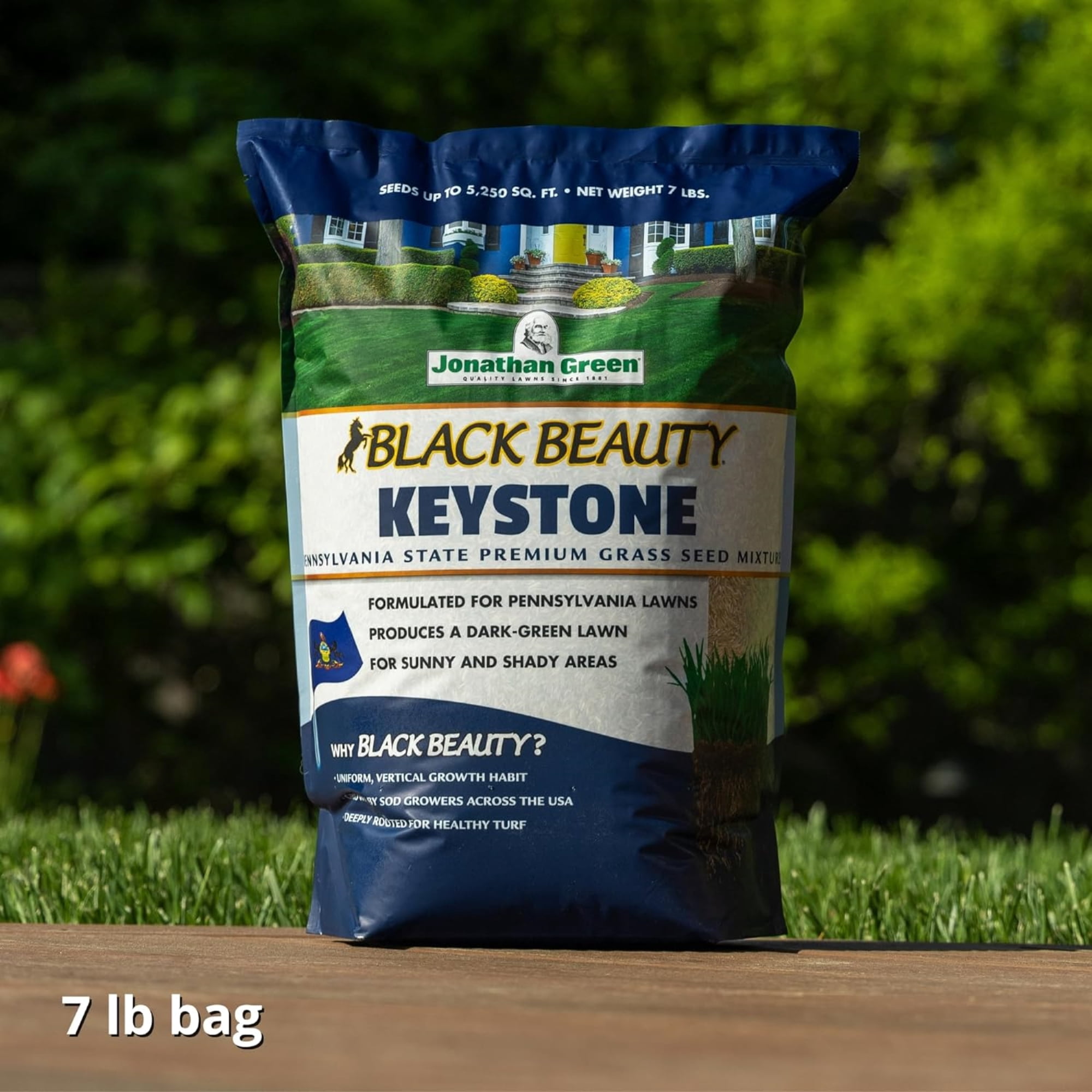 Jonathan Green Black Beauty Keystone Grass Seed - Cool Season, Drought-Tolerant - 7 lb