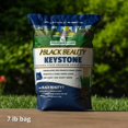 thumbnail image 5 of Jonathan Green 10361 Black Beauty Keystone Grass Seed,  PA Mix, 7-Lbs. - Quantity 1, 5 of 5
