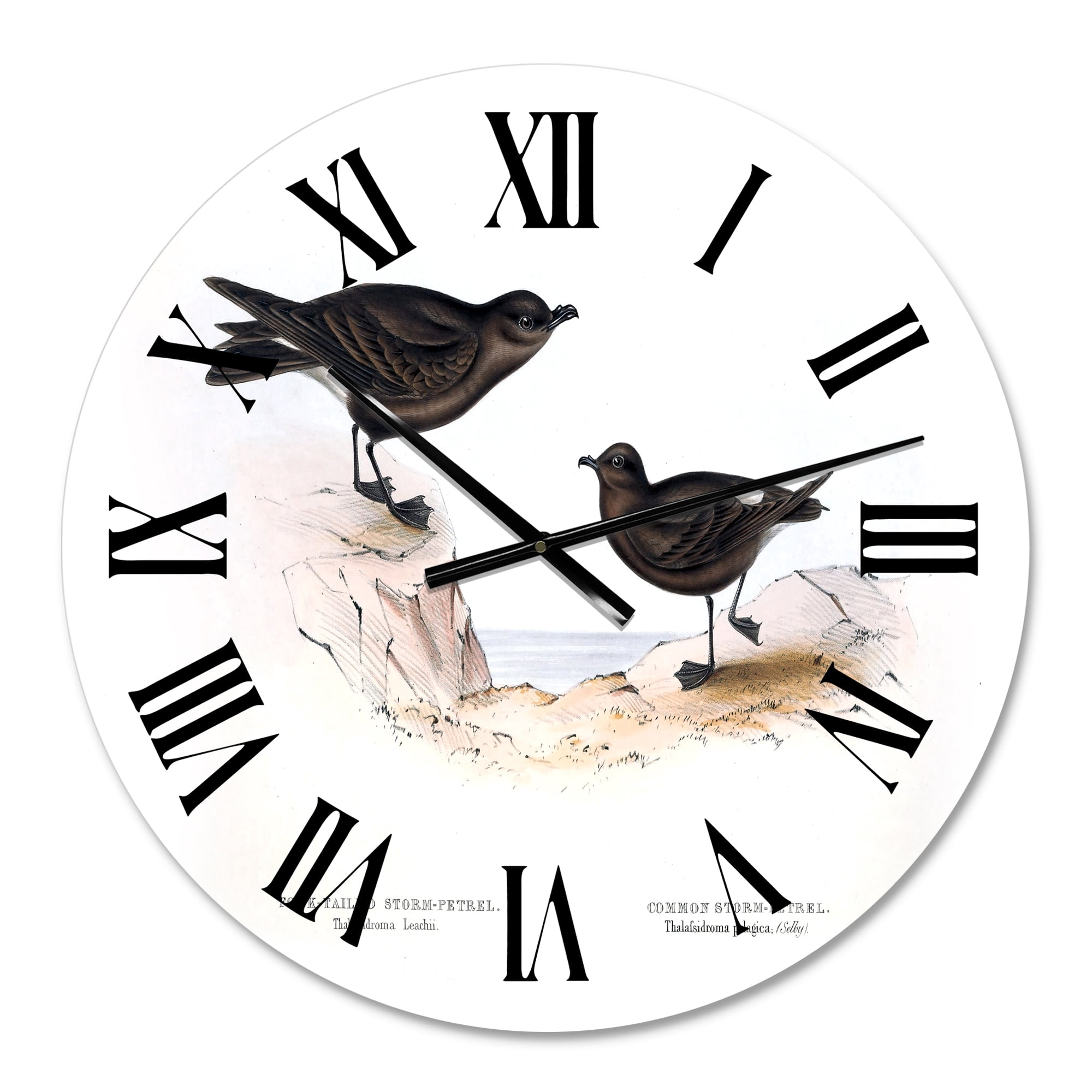 Designart 1 in Quartz Traditional Wall Clock